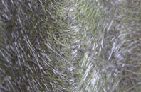 Orrell fibreglass roof work